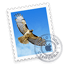 Apple Mail software icon