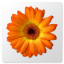 Artweaver icono de software
