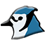 BlueJ software icon