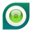 ESET Cybersecurity software icon