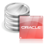 Oracle Database ソフトウェアアイコン