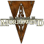 The Elder Scrolls III: Morrowind значок программного обеспечения