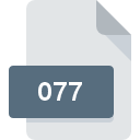 077 file icon