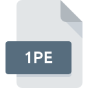 Icône de fichier 1PE