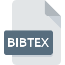 Icône de fichier BIBTEX