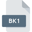 BK1 icono de archivo