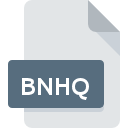 Icône de fichier BNHQ