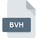 BVH ícone do arquivo