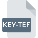Icona del file KEY-TEF