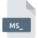 Icône de fichier MS_