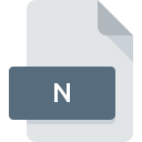 Icona del file N