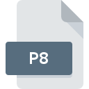 P8 file icon