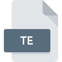 TE file icon