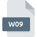 Icône de fichier W09