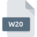 W20 значок файла