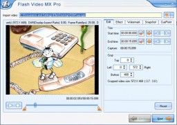 Flash Video MX Pro miniatyrbild