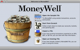 MoneyWell miniatyrbilde