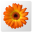 Artweaver icon