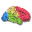 BrainVoyager icon