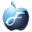 Flash Optimizer icon