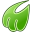 Midori icon