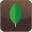 MongoDB icon