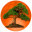 Natara Bonsai icon