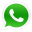 WhatsApp for Android icon