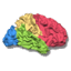 BrainVoyager programvaruikon