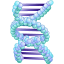 CN3D softwarepictogram