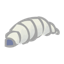 Conformalizer software icon