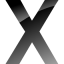 Mac OS X Server software icon