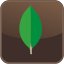 MongoDB software icon