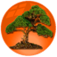 Natara Bonsai Software-Symbol