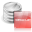 Oracle Database programvaruikon