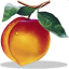 Peachtree Complete Accounting software icon