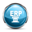 SAP ERP software icon