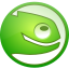 SUSE Linux Enterprise Server software icon