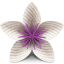 Vellum softwarepictogram