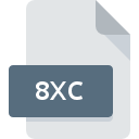 8XC значок файла