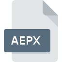 AEPX icono de archivo