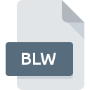 Icône de fichier BLW