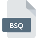 BSQ bestandspictogram