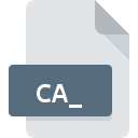 CA_ file icon