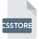 CSSTORE Dateisymbol