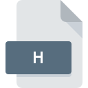 H file icon