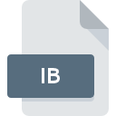 Icône de fichier IB