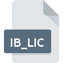 Icône de fichier IB_LIC