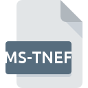 MS-TNEF icono de archivo