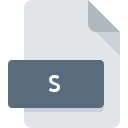 S file icon